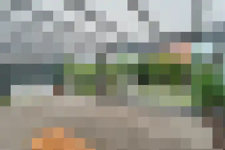 Topaasdreef 9 Emmen thumbnail 48