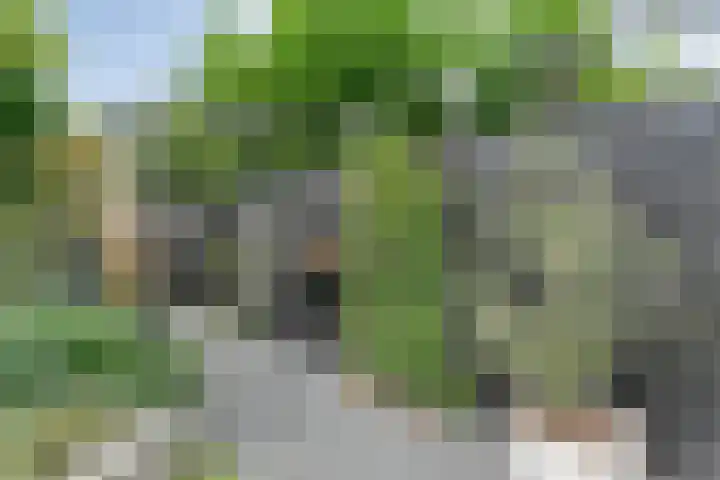 Topaasdreef 9 Emmen thumbnail 54