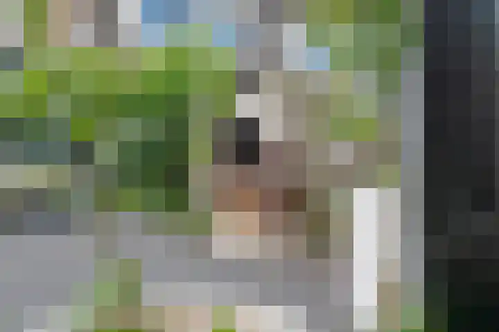 Topaasdreef 9 Emmen thumbnail 56