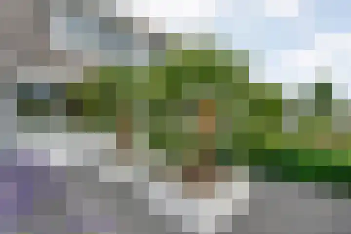 Topaasdreef 9 Emmen thumbnail 6