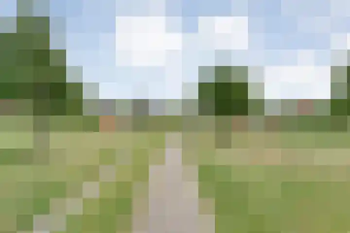 Topaasdreef 9 Emmen thumbnail 60