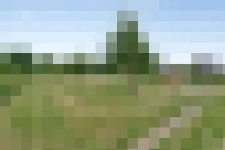 Topaasdreef 9 Emmen thumbnail 61