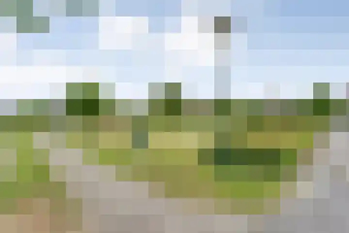 Topaasdreef 9 Emmen thumbnail 7