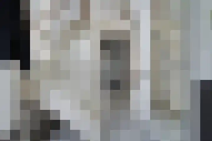 Topaasdreef 9 Emmen thumbnail 9