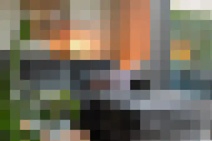 Topaaslaan 16 Rhoon thumbnail 14