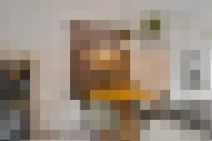 Topaaslaan 16 Rhoon thumbnail 15