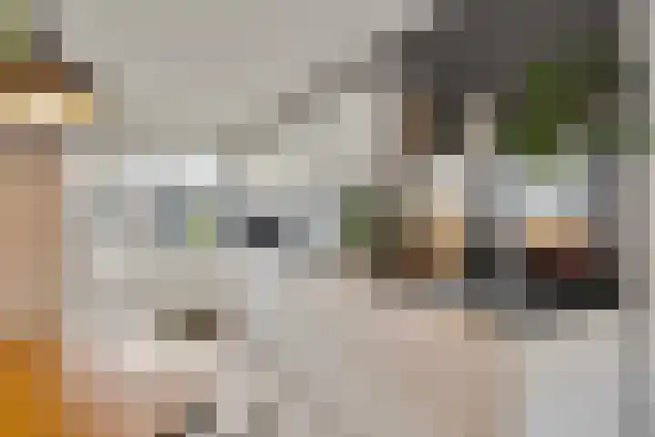 Topaaslaan 16 Rhoon thumbnail 16