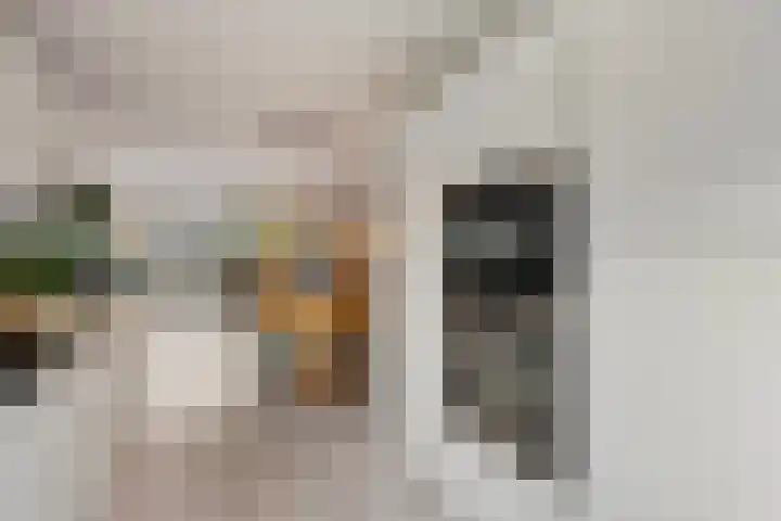 Topaaslaan 16 Rhoon thumbnail 18
