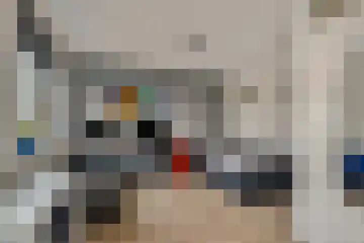 Topaaslaan 16 Rhoon thumbnail 25