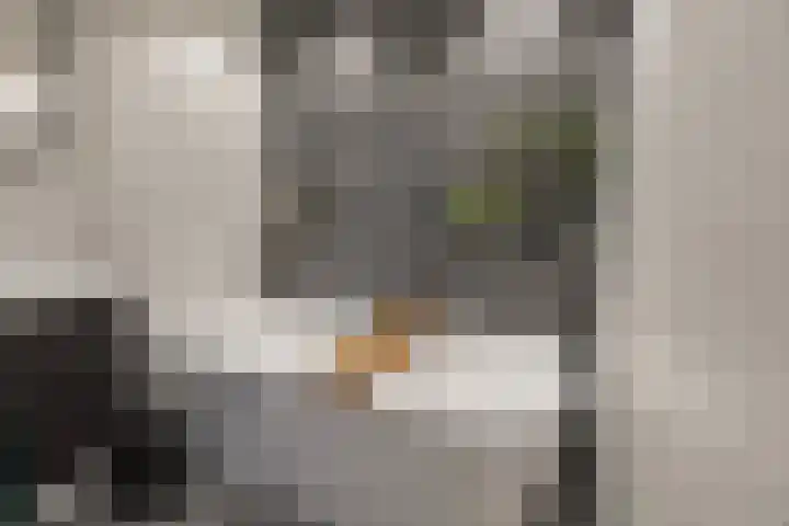 Topaaslaan 16 Rhoon thumbnail 27
