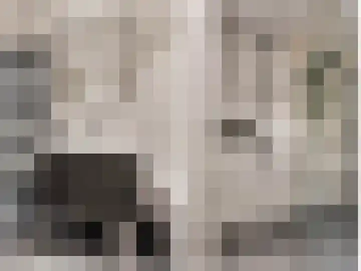 Topaaslaan 16 Rhoon thumbnail 28