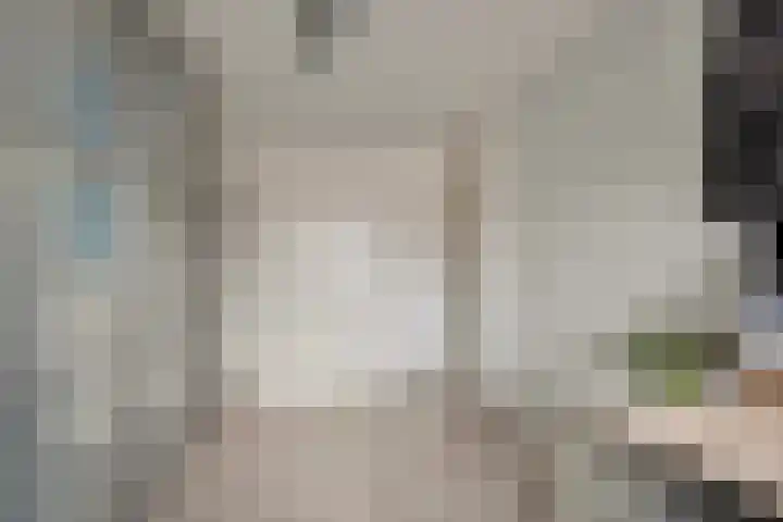 Topaaslaan 16 Rhoon thumbnail 31