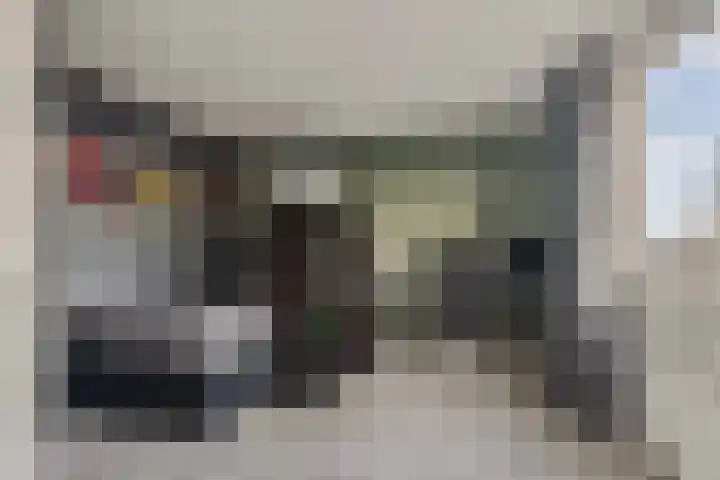 Topaaslaan 16 Rhoon thumbnail 32