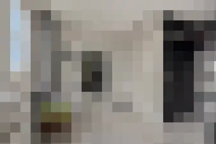 Topaaslaan 16 Rhoon thumbnail 34