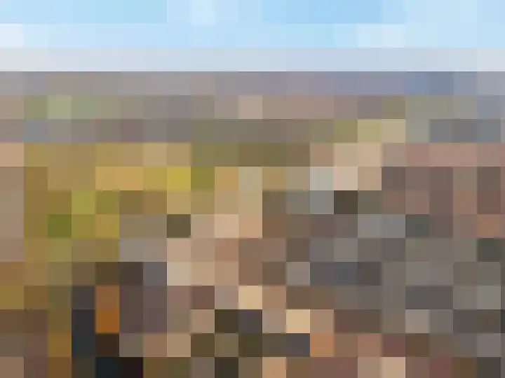Topaaslaan 16 Rhoon thumbnail 39