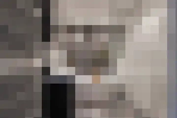 Topaaslaan 16 Rhoon thumbnail 4