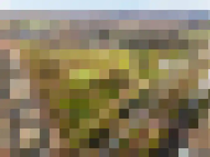 Topaaslaan 16 Rhoon thumbnail 41