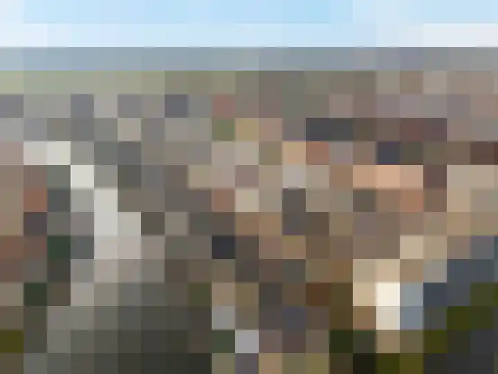 Topaaslaan 16 Rhoon thumbnail 7