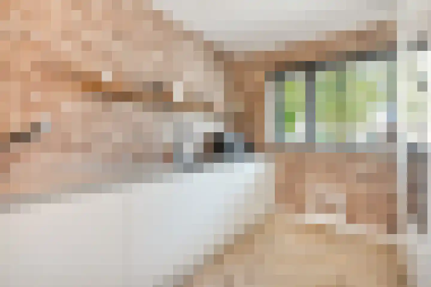 Topaaslaan 22 Rhoon thumbnail 10