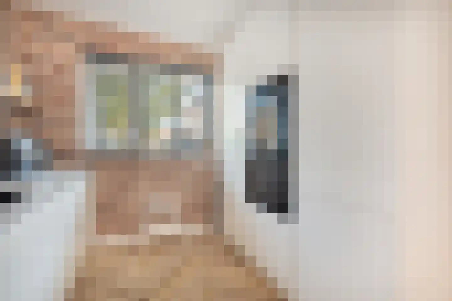 Topaaslaan 22 Rhoon thumbnail 11