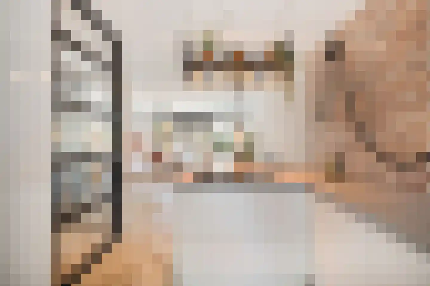 Topaaslaan 22 Rhoon thumbnail 12