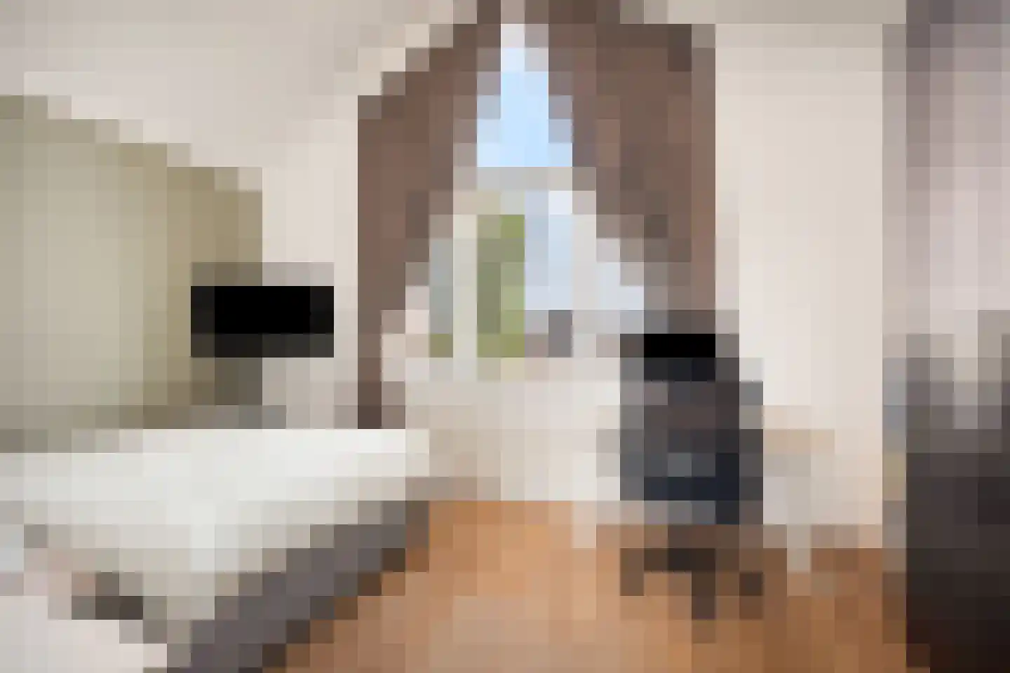 Topaaslaan 22 Rhoon thumbnail 20