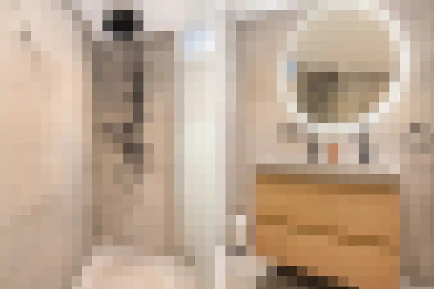 Topaaslaan 22 Rhoon thumbnail 24