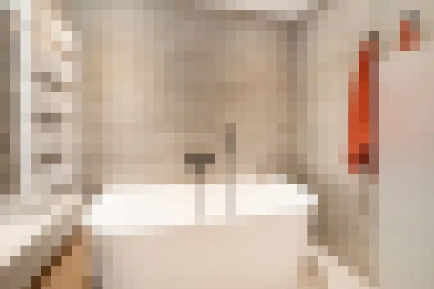 Topaaslaan 22 Rhoon thumbnail 25