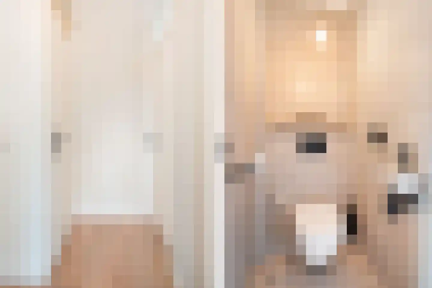 Topaaslaan 22 Rhoon thumbnail 26