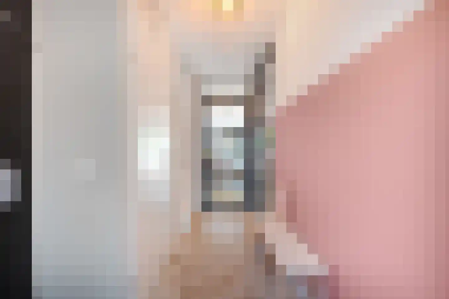 Topaaslaan 22 Rhoon thumbnail 39