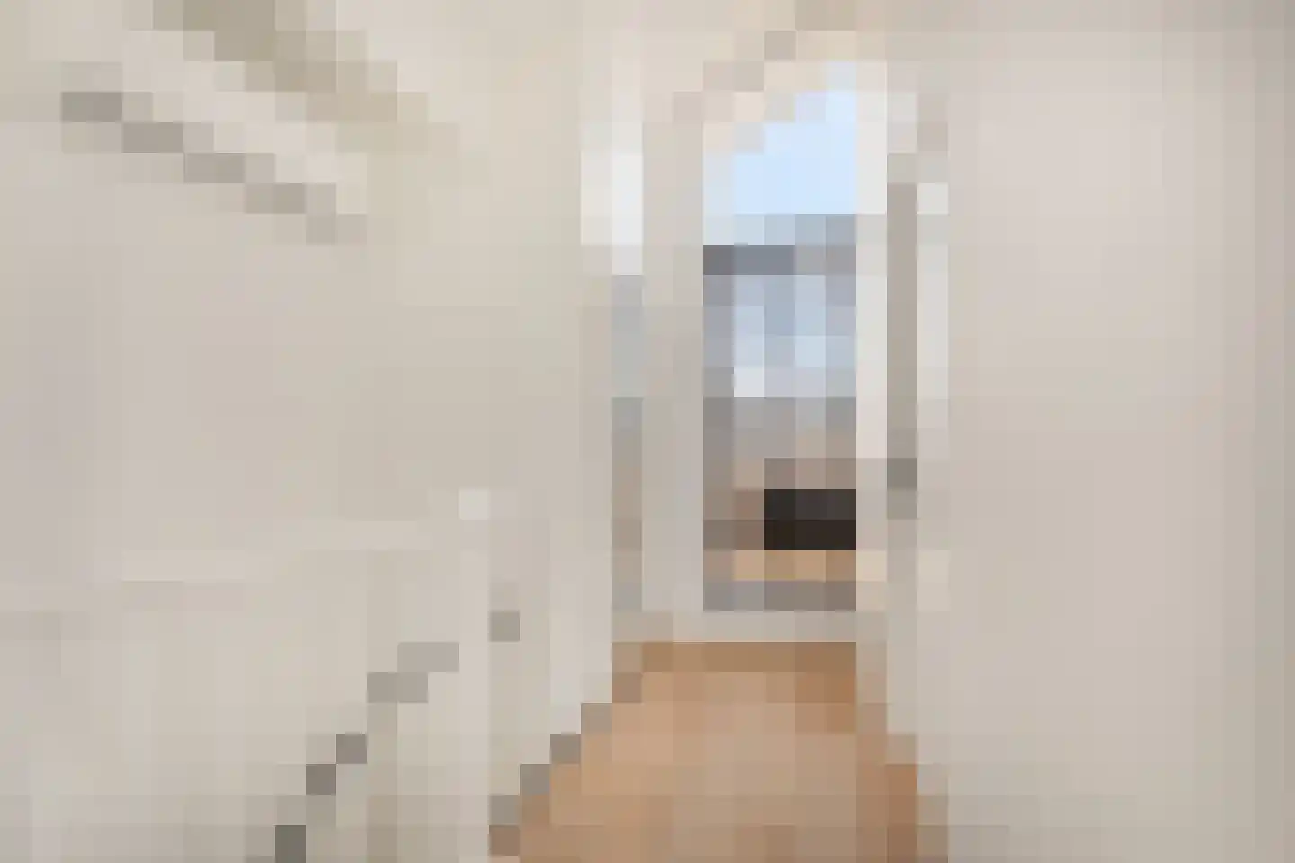 Topaaslaan 22 Rhoon thumbnail 41