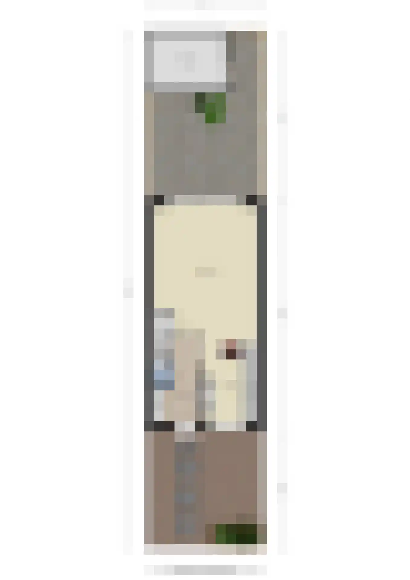 Topaaslaan 22 Rhoon thumbnail 57