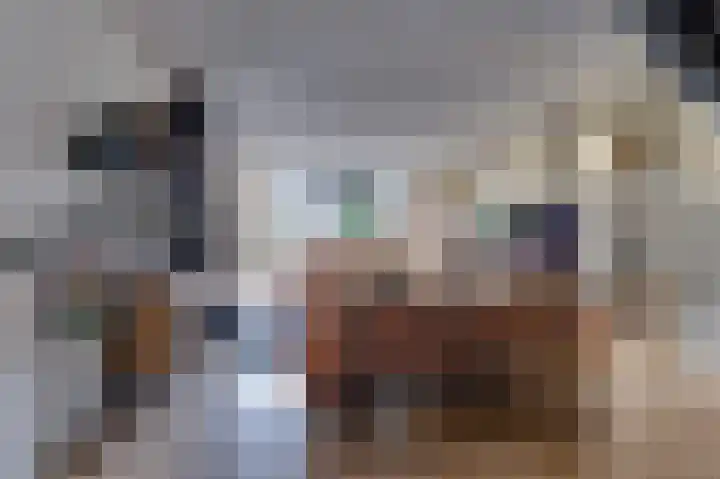 Topaaslaan 25 Rhoon thumbnail 11