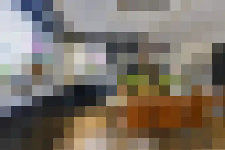 Topaaslaan 25 Rhoon thumbnail 16