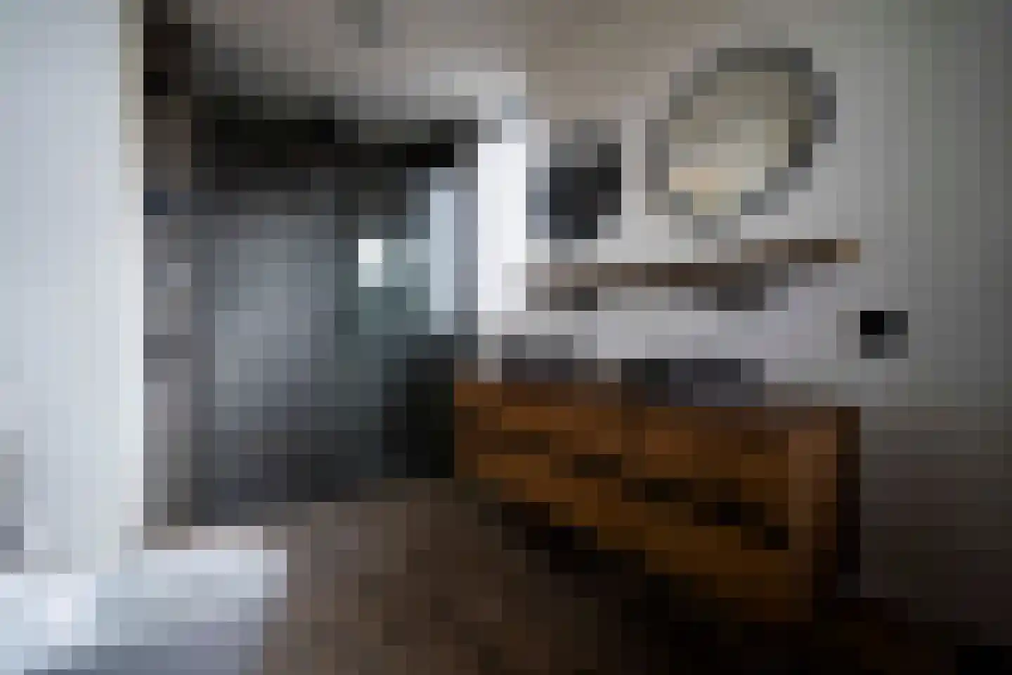 Topaaslaan 25 Rhoon thumbnail 19