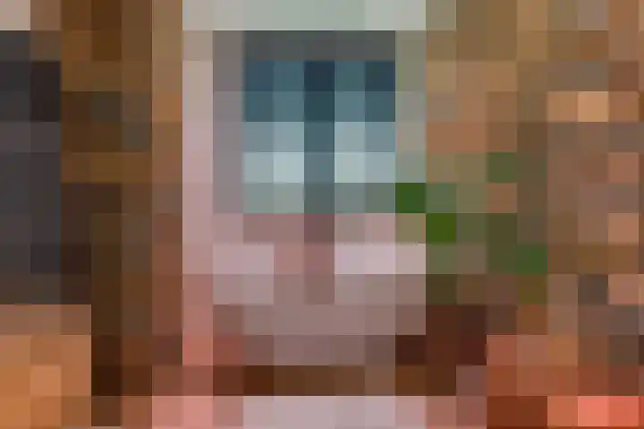 Topaaslaan 25 Rhoon thumbnail 22