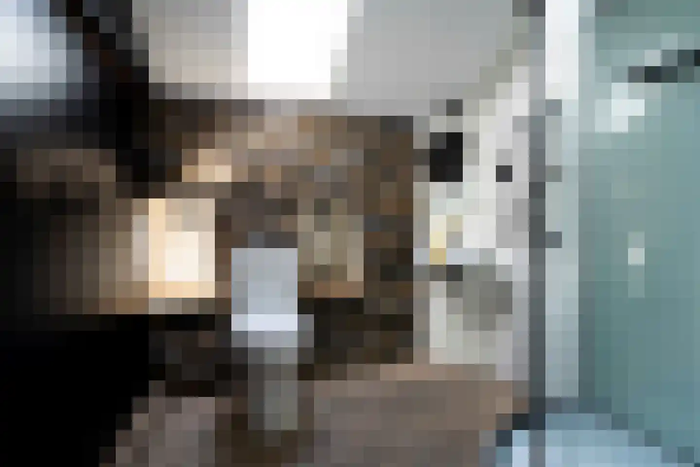 Topaaslaan 25 Rhoon thumbnail 32