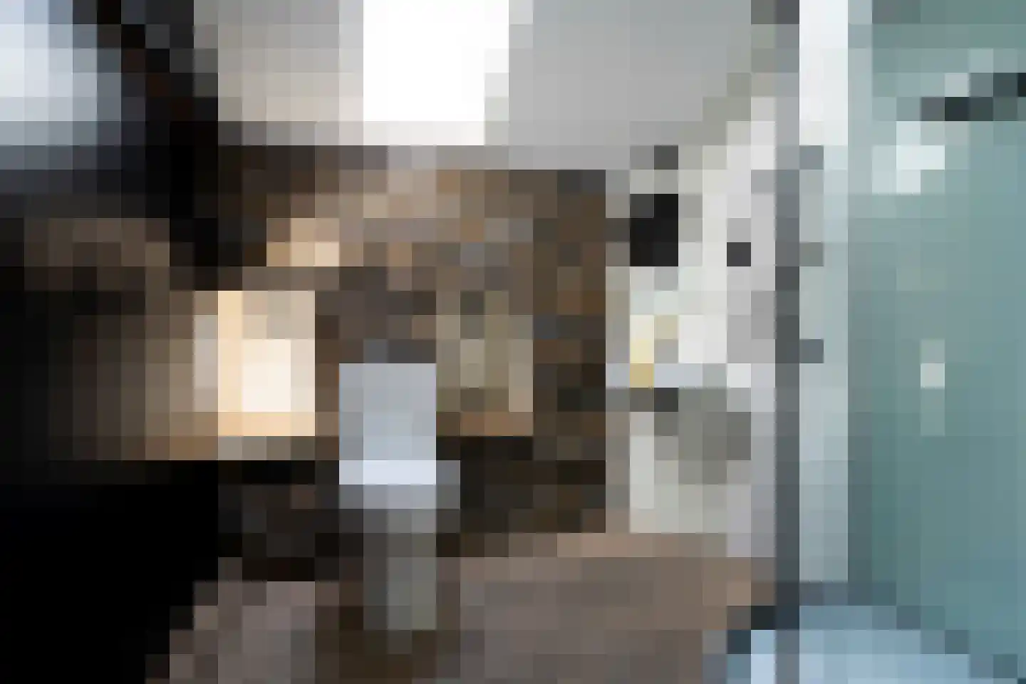 Topaaslaan 25 Rhoon thumbnail 33