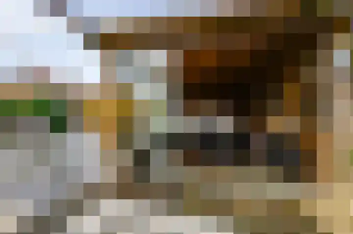 Topaaslaan 25 Rhoon thumbnail 37