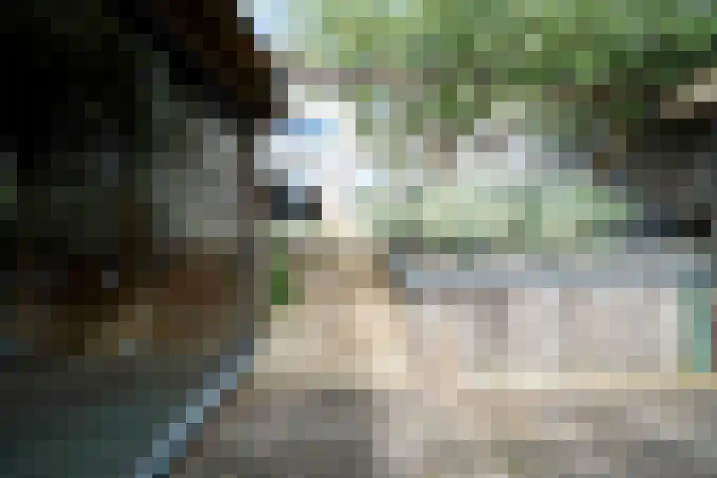 Topaaslaan 25 Rhoon thumbnail 40