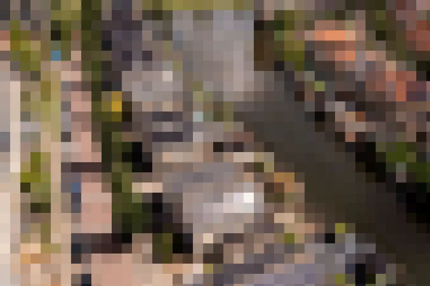 Topaaslaan 25 Rhoon thumbnail 47
