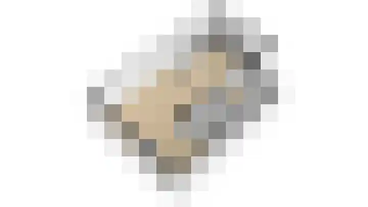 Topaaslaan 25 Rhoon thumbnail 48