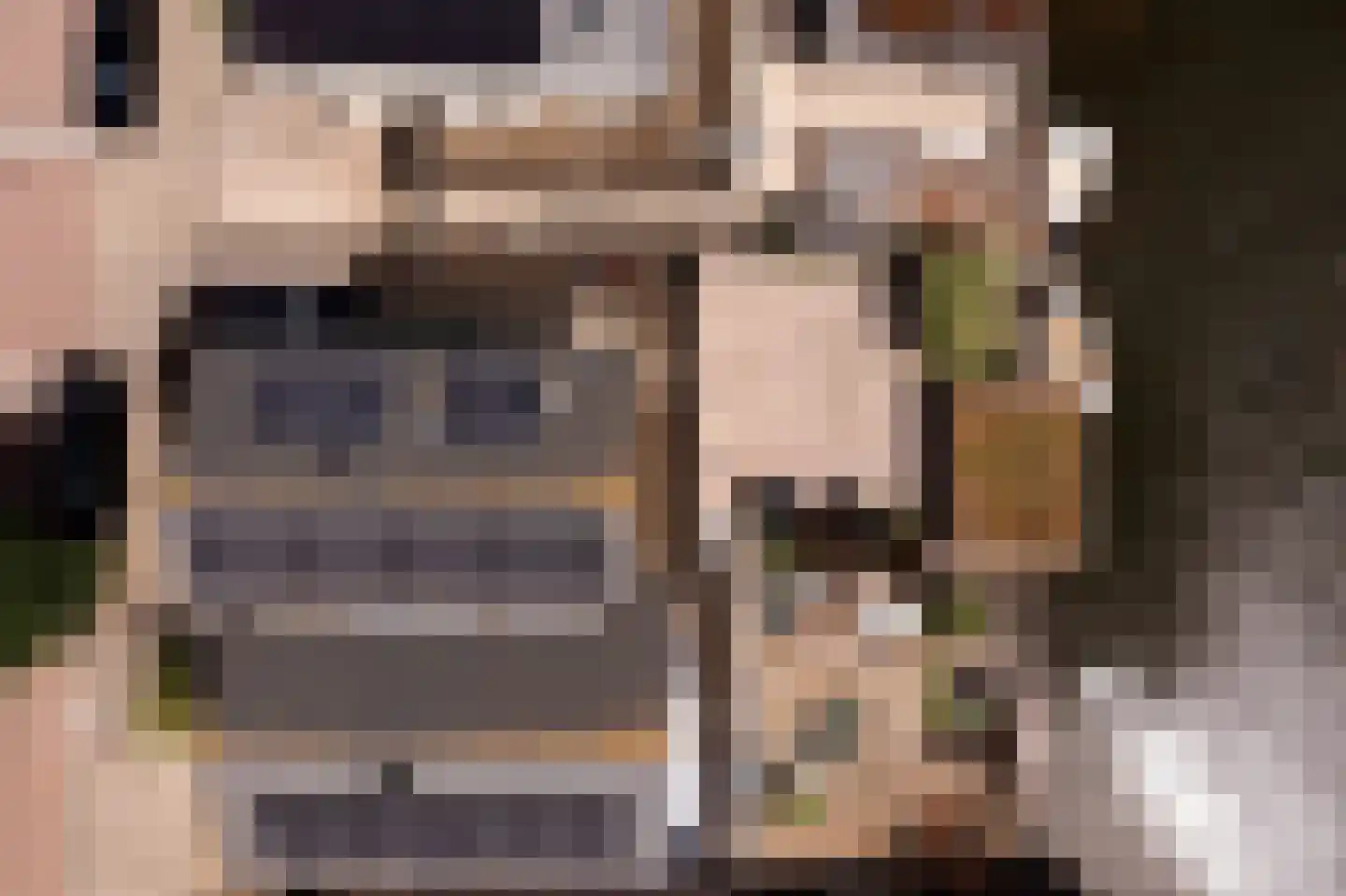 Topaaslaan 25 Rhoon thumbnail 48