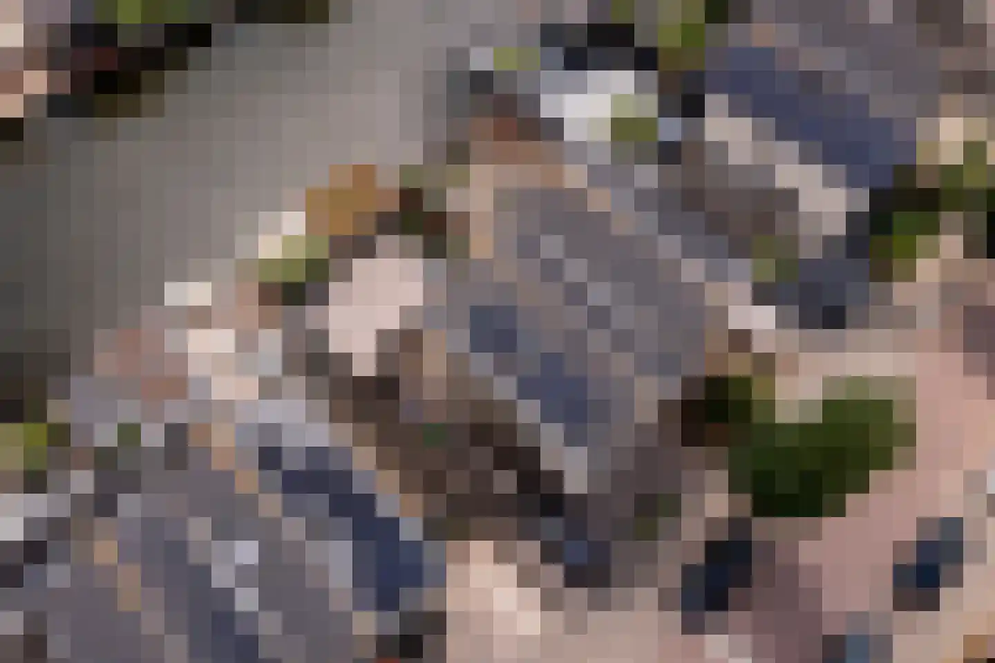 Topaaslaan 25 Rhoon thumbnail 49