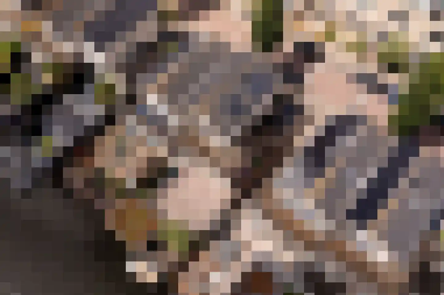 Topaaslaan 25 Rhoon thumbnail 50