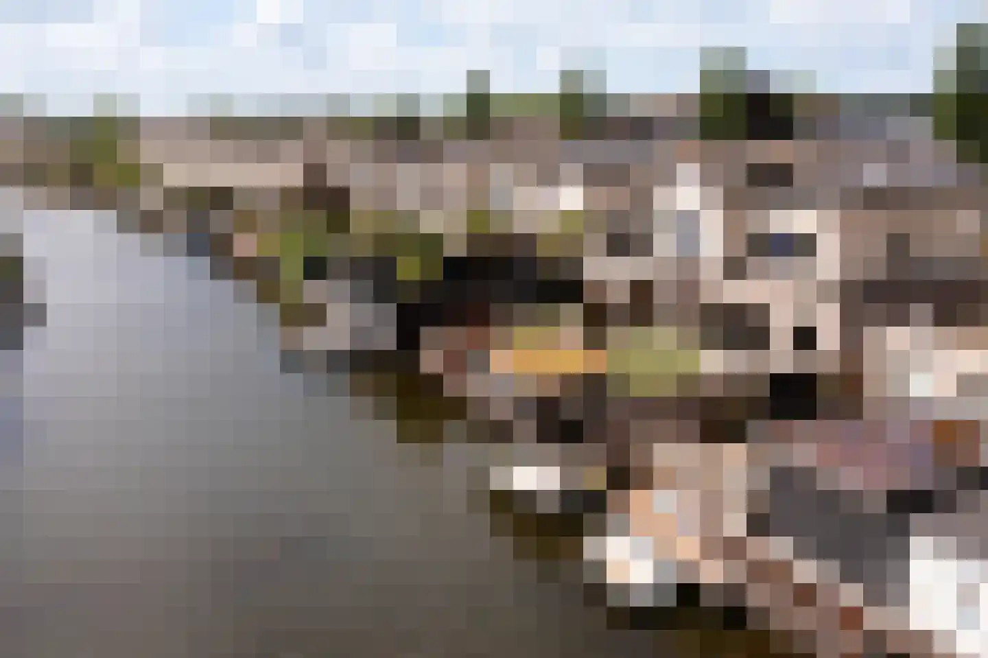 Topaaslaan 25 Rhoon thumbnail 8