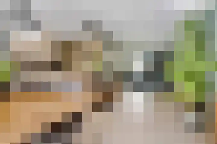 Topaasring 117 Eindhoven thumbnail 14