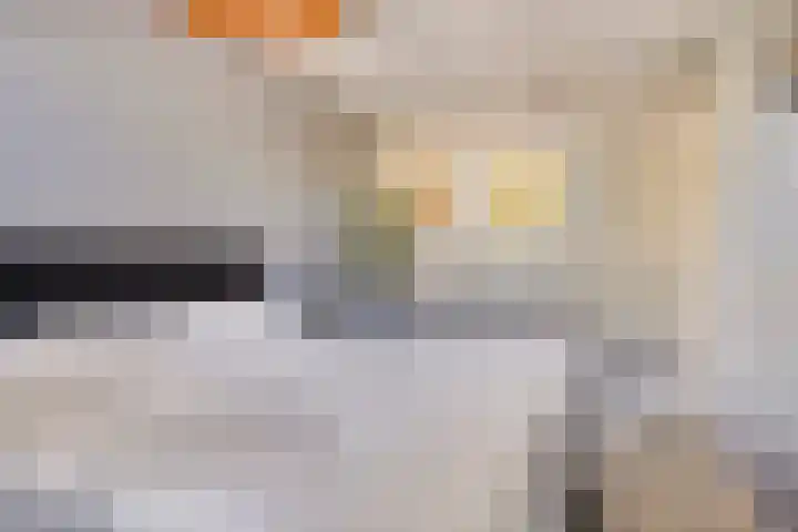 Topaasring 117 Eindhoven thumbnail 19