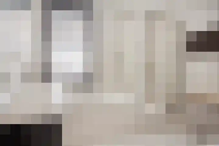 Topaasring 117 Eindhoven thumbnail 20