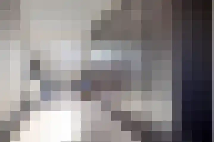 Topaasring 117 Eindhoven thumbnail 24